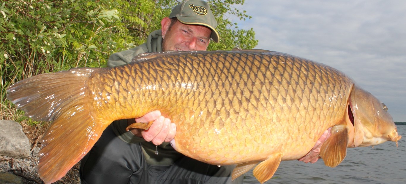 Raised Image Canadian carp fishing on a beautiful river 